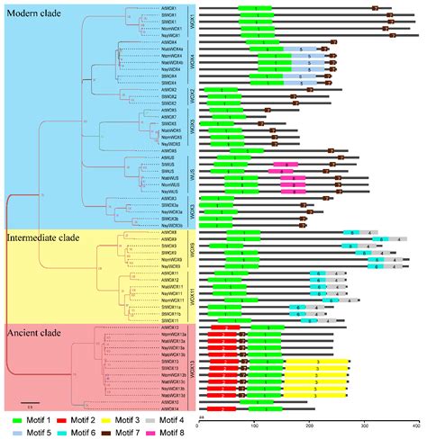 Identification and Characterization of the WOX Family Genes in Five ...