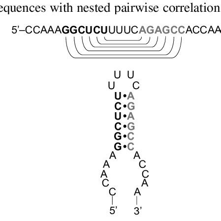 Labels KeyShot 的图像结果