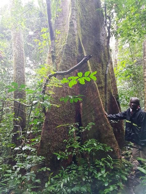 Kenema Tourism (2024): Best of Kenema, Sierra Leone - Tripadvisor
