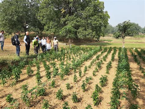 Vidhan || Way to Develop Rural India