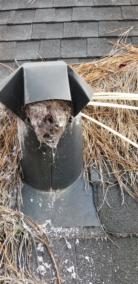 Dryer duct cleaning services by American Air Duct Cleaning