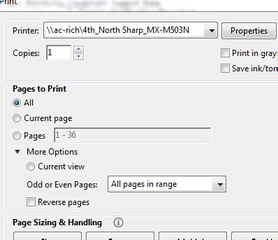 Image result for Print Current View