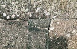 Ancient Equator 的图像结果