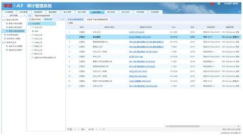 鼎信诺审计软件下载-鼎信诺审计软件6110 v6.0 官方版下载 - 巴士下载站