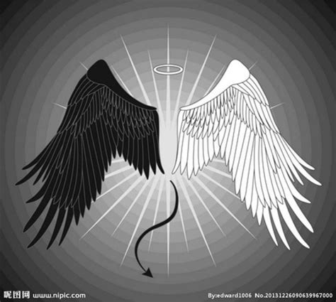 天使和恶魔的翅膀 图片_百度知道