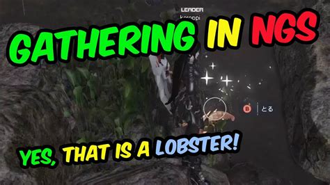 Image result for PSO2 NGS Floof