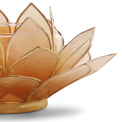 Shop Gold Ombre 22 Shells Capiz Tealight Holder - at Best Price Online ...