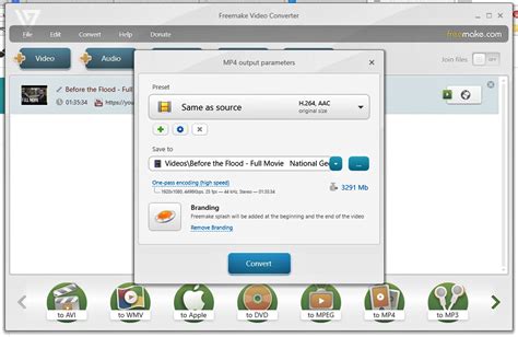 Freemake Video Converter Review | CitizenSide