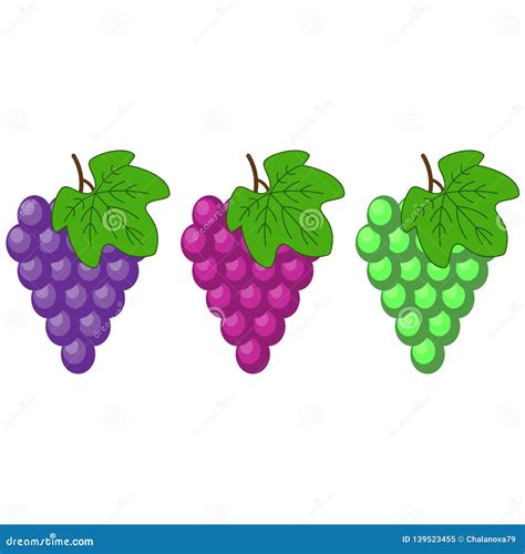 Red, Pink Muscatel and White Table Grapes, Wine Grapes. Fresh Fruit ...
