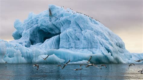 Sea Levels Will Rise 5M As Antarctic Iceberg Melts: Climatologist