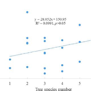 Image result for Timber Value
