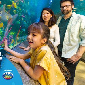 Underwater Scavenger Hunt Around the World , 1 Aquarium Way, Newport ...