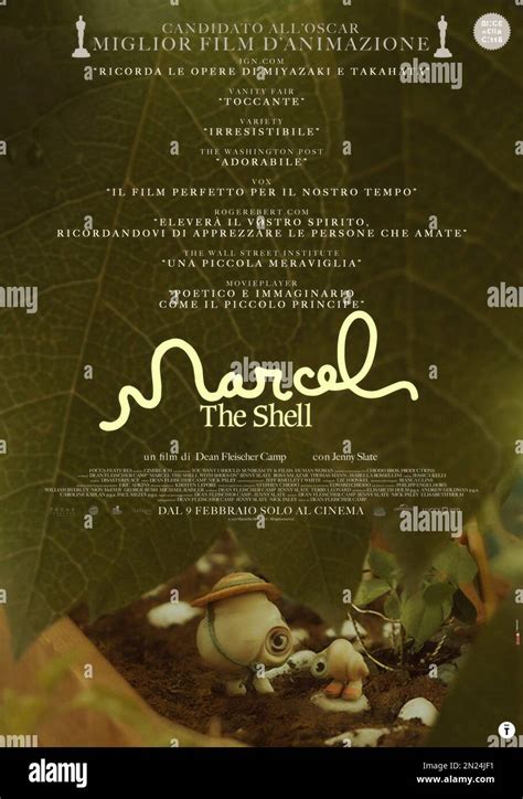 Image result for Marcel the Shell Voice