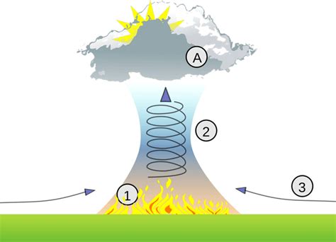 Image result for Pyrocbs