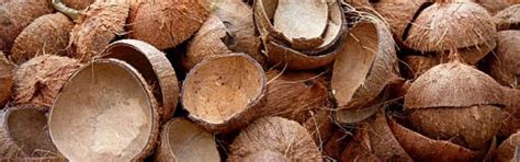 Gold Recovery Methods 的图像结果