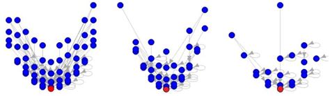 Local Optima 的图像结果