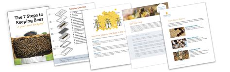 Beekeeping Tutorial 的图像结果