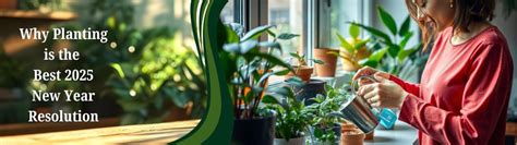 Why Planting is the Best 2025 New Year Resolution – Crazyflora