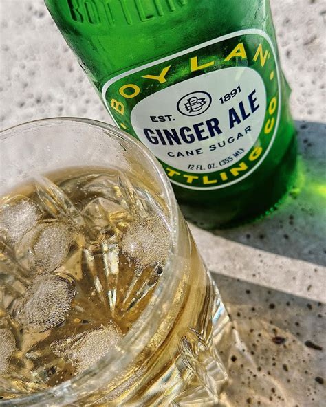 12 BEST Ginger Ale Brands From a Michigander's Perspective