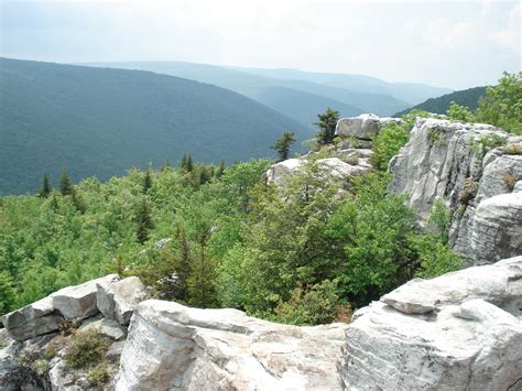 Dolly Sods Wilderness | Natural Atlas