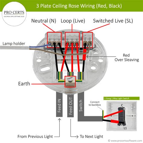 How to Wire a Light Fitting - Pro Certs Software