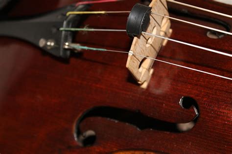 Image result for Viola String Instrument