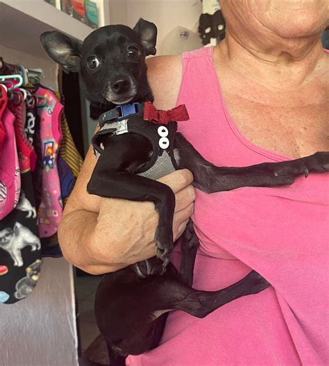 Image result for Arduino Nino