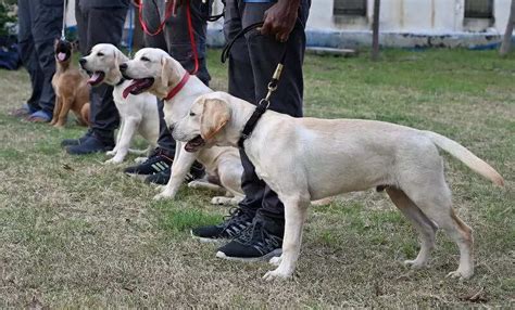 Mallikarjunapeta, Vijayawada: Map, Property Rates, Projects, Photos ...