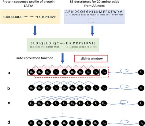 Image result for Encode Protein