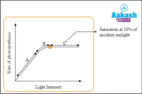 Photosynthesis: Definition, Location and Types | AESL