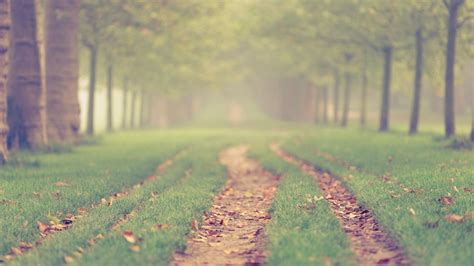 Image result for Background Images for JavaScript
