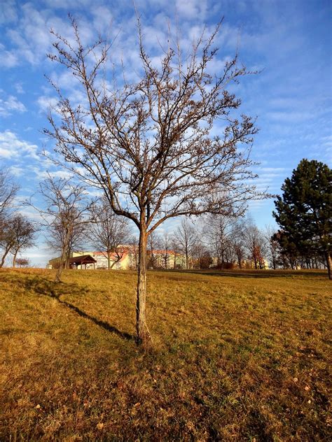 Pixabay Free High Resolution 的图像结果