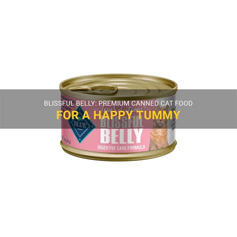Blissful Belly: Premium Canned Cat Food For A Happy Tummy | PetShun