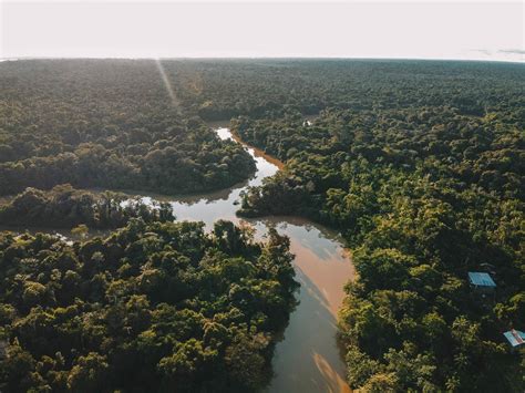 Tip: Bezoek de Amazone rivier & jungle in Colombia (vanuit Leticia) | TRAVELDICTED