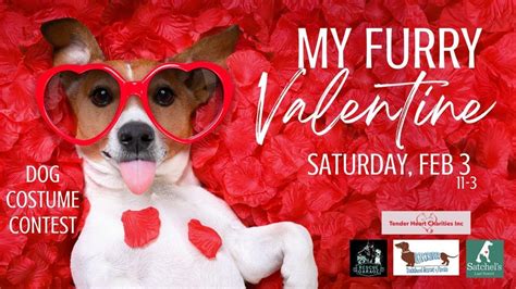 My Furry Valentine with Dog Costume Contest!, The Bazaar on Apricot ...