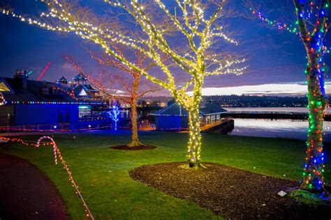 Christmas Lights in Seattle 2024-2025 - Rove.me