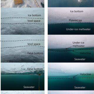 Image result for GoPro Ice