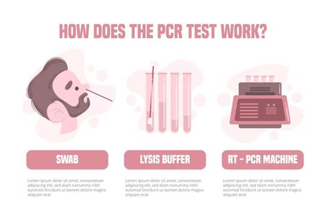 How Is PCR Test Done 的图像结果