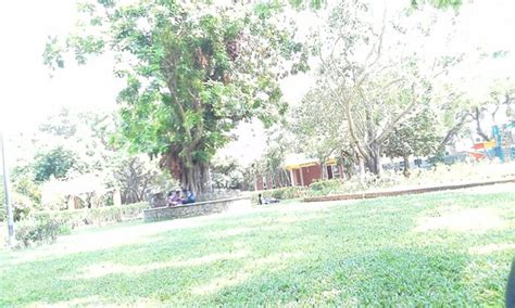 Semmozhi Poonga (Chennai) - What to Know Before You Go (with reviews ...