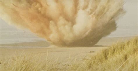 Exploding Whale Australia 的图像结果