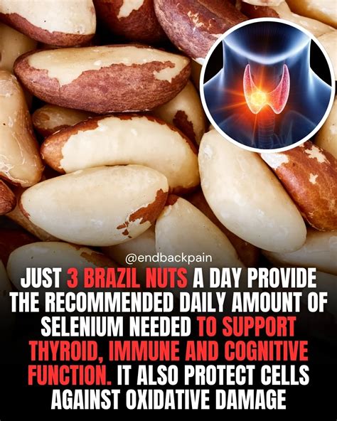 The Recommended Daily Intake Of Brazil Nuts Explained