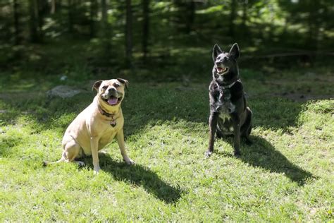 Learn to Paint, 993 County Road Z, Arkdale, WI, United States ...