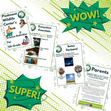 Activity Class 5 的图像结果