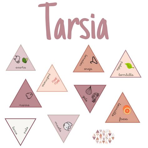 Tarsia Rosa - Aula en Juego