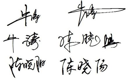 在线姓名签名设计 谁能帮我设计两个签名啊 我叫 1.牛涛 2.陈晓阳 谢谢 ！！！_百度知道