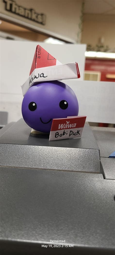 Gave him a hat and name tag : r/Wawa