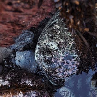 Image result for JavaScript 3D Cover Flow