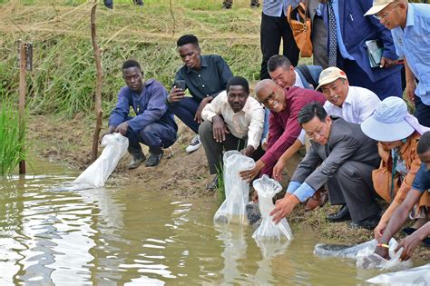 Uganda, China in Shs44b project to boost agriculture | Monitor