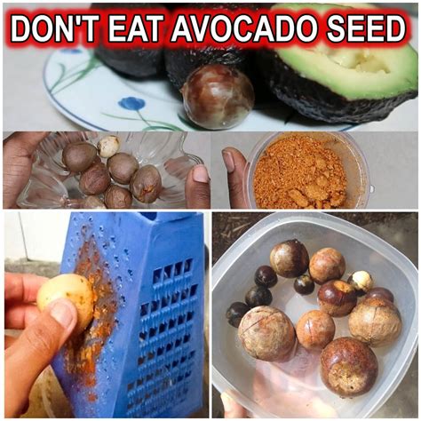 Creative Ways to Use Avocado Seeds: Explore Beyond Eating