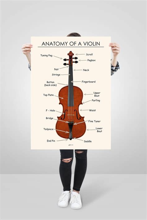 Violin Anatomy Poster, Violin Diagram Printable, Violin Parts Names, Music Teacher Resource ...
